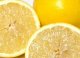 【レモン】☆キッチンで使える柑橘精油の水溶性仕様　10ml