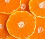 画像: 【オレンジスィート】☆キッチンで使える柑橘精油の水溶性仕様　10ml/30ml
