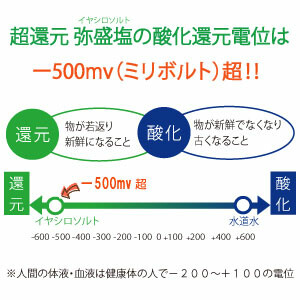 画像5: 【竹塩】超還元弥盛塩 　20g　/    240g   /   1kg